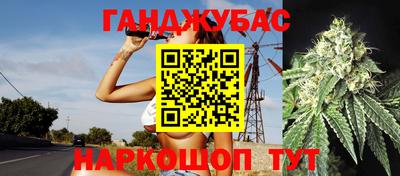 гашик Малгобек