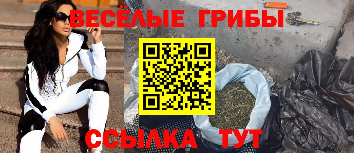 Псилоцибиновые грибы Cubensis Долгопрудный